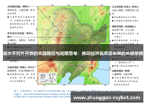 高水平对外开放的实践路径与战略思考：推动经济高质量发展的关键举措