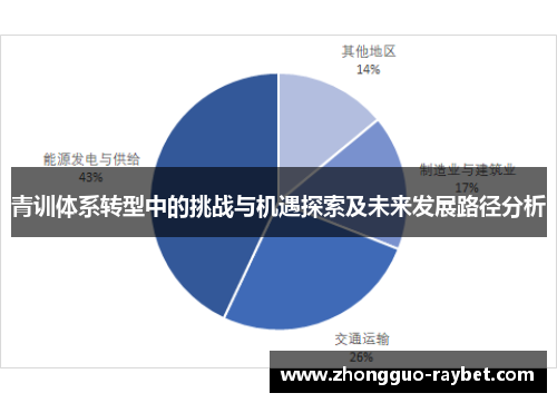 青训体系转型中的挑战与机遇探索及未来发展路径分析 青训体系转型中的挑战与机遇探索及未来发展路径分析