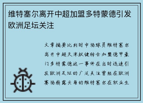 维特塞尔离开中超加盟多特蒙德引发欧洲足坛关注 维特塞尔离开中超加盟多特蒙德引发欧洲足坛关注